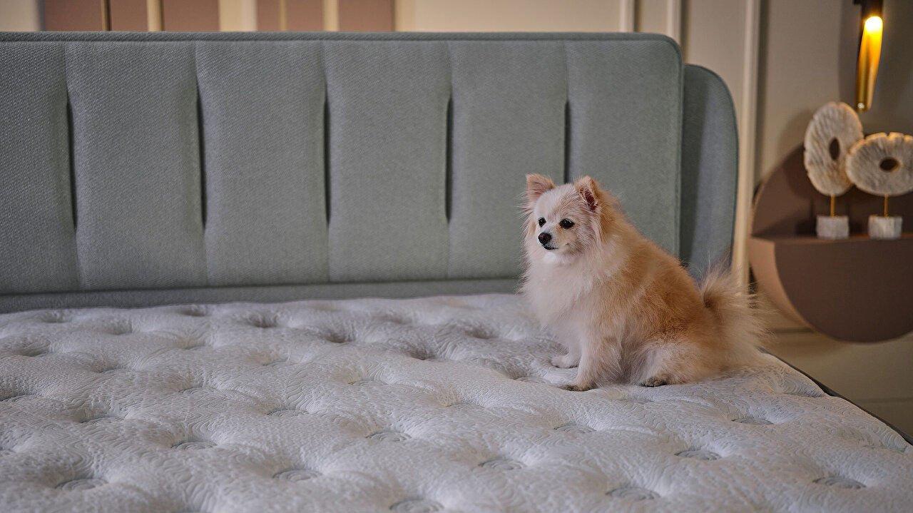 product__photo